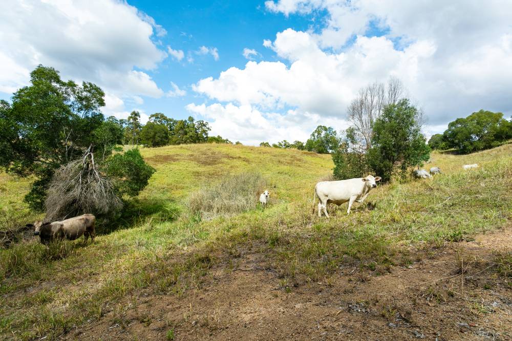 Lot 3 Burridge Road, TANDUR, QLD 4570