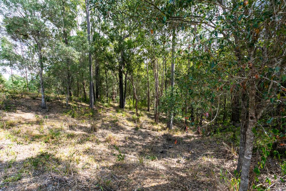 Lot 3 Burridge Road, TANDUR, QLD 4570