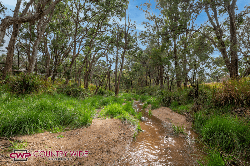 Torrington Road, STANNUM, NSW 2371