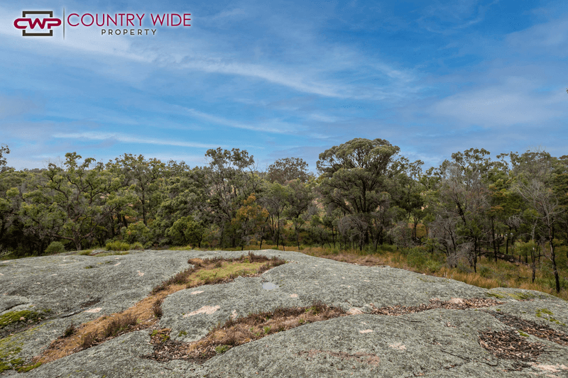 Torrington Road, STANNUM, NSW 2371