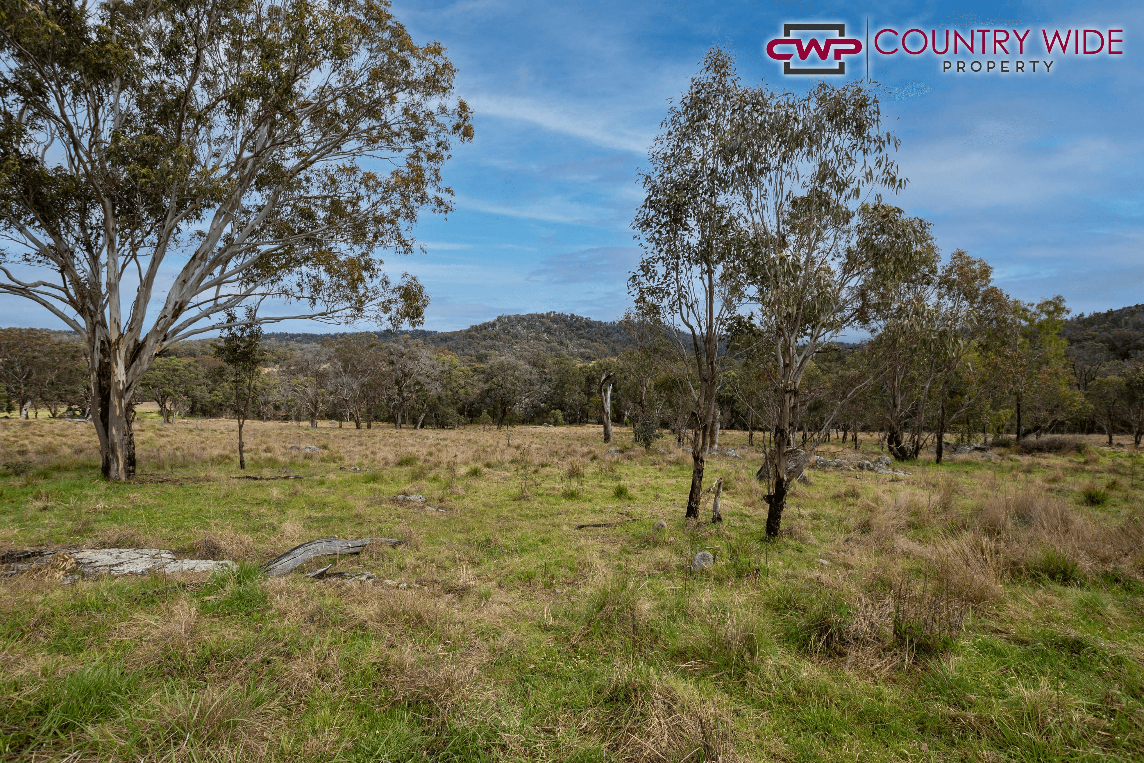 Torrington Road, STANNUM, NSW 2371