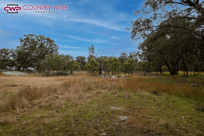 Torrington Road, STANNUM, NSW 2371