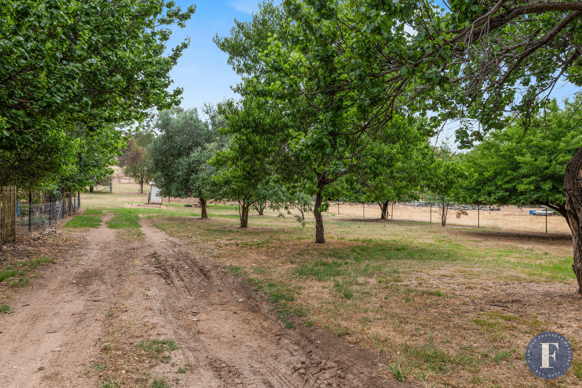 30 Murringo Gap Road, Young, NSW 2594