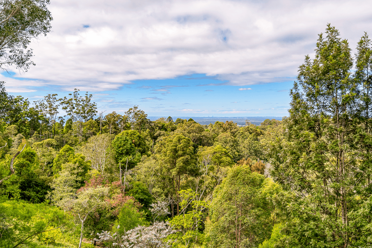 17 Bowen Mountain Road, GROSE VALE, NSW 2753