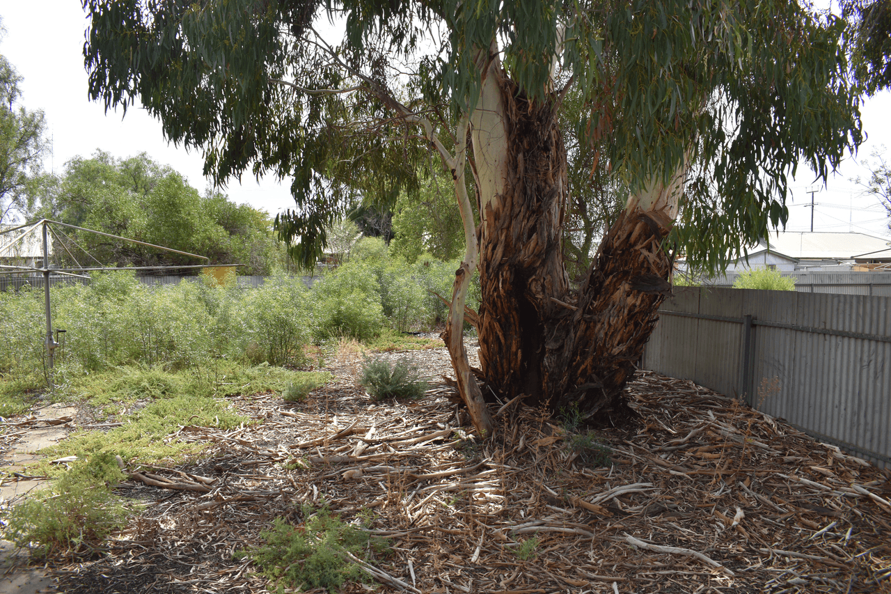 12 Trelawney Street, Port Pirie, SA 5540