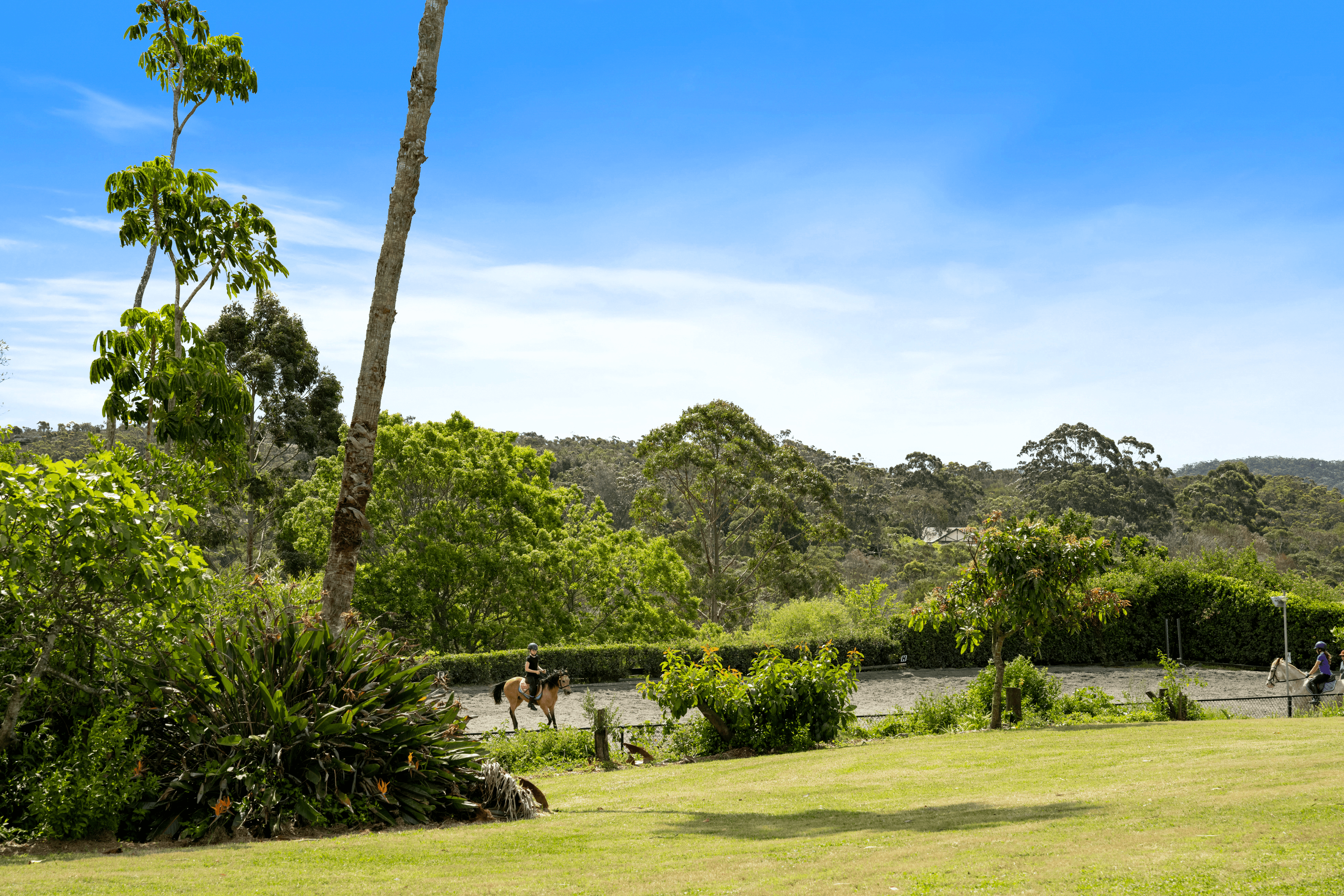 6 Chiltern Road, INGLESIDE, NSW 2101