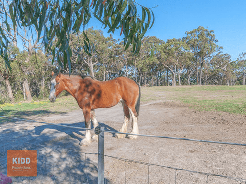 529 Ironbark Road, MANGROVE MOUNTAIN, NSW 2250