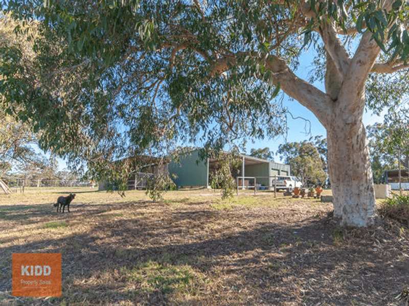 529 Ironbark Road, MANGROVE MOUNTAIN, NSW 2250