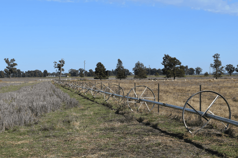 3013 Lachlan Valley Way 'Mareetha' Way, FORBES, NSW 2871