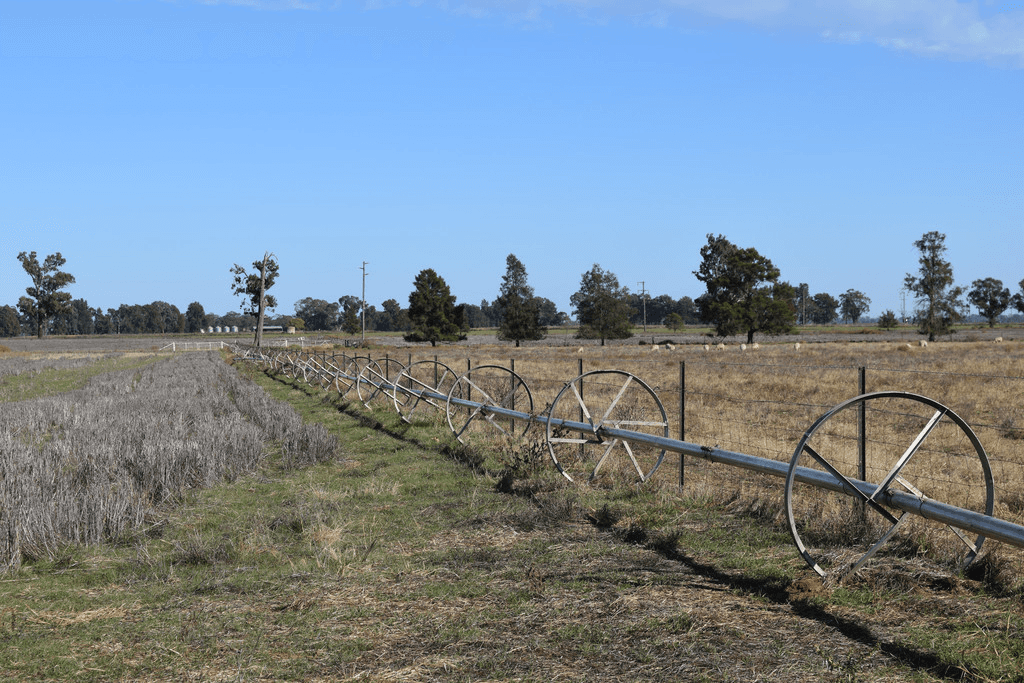 3013 Lachlan Valley Way 'Mareetha' Way, FORBES, NSW 2871