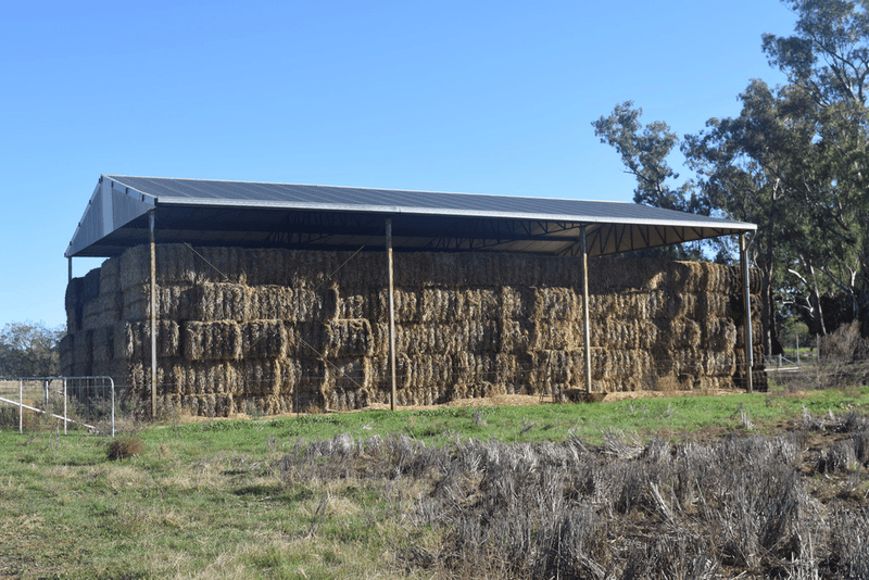 3013 Lachlan Valley Way 'Mareetha' Way, FORBES, NSW 2871