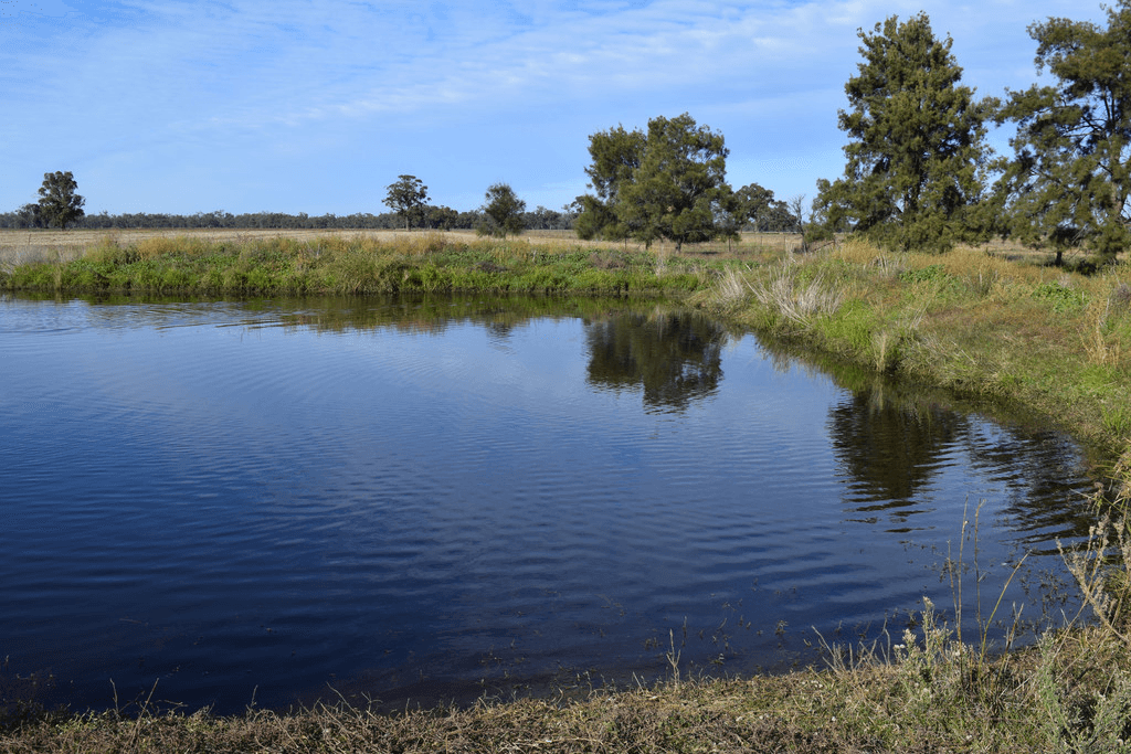 3013 Lachlan Valley Way 'Mareetha' Way, FORBES, NSW 2871