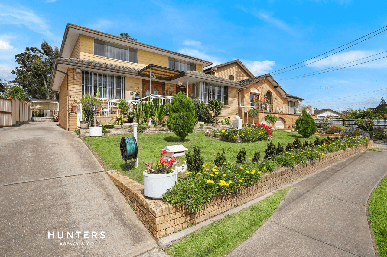 6 Violet Place, Greystanes, NSW 2145