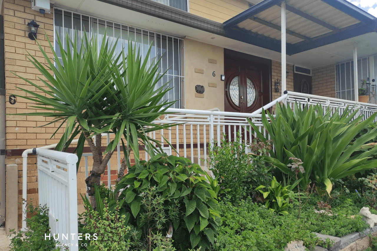 6 Violet Place, Greystanes, NSW 2145