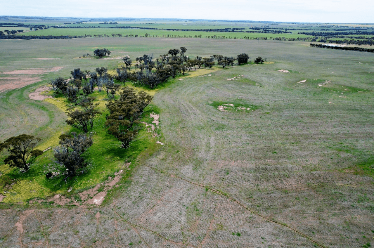 Lot 11505  Bungulla Road, NORTH TAMMIN, WA 6409