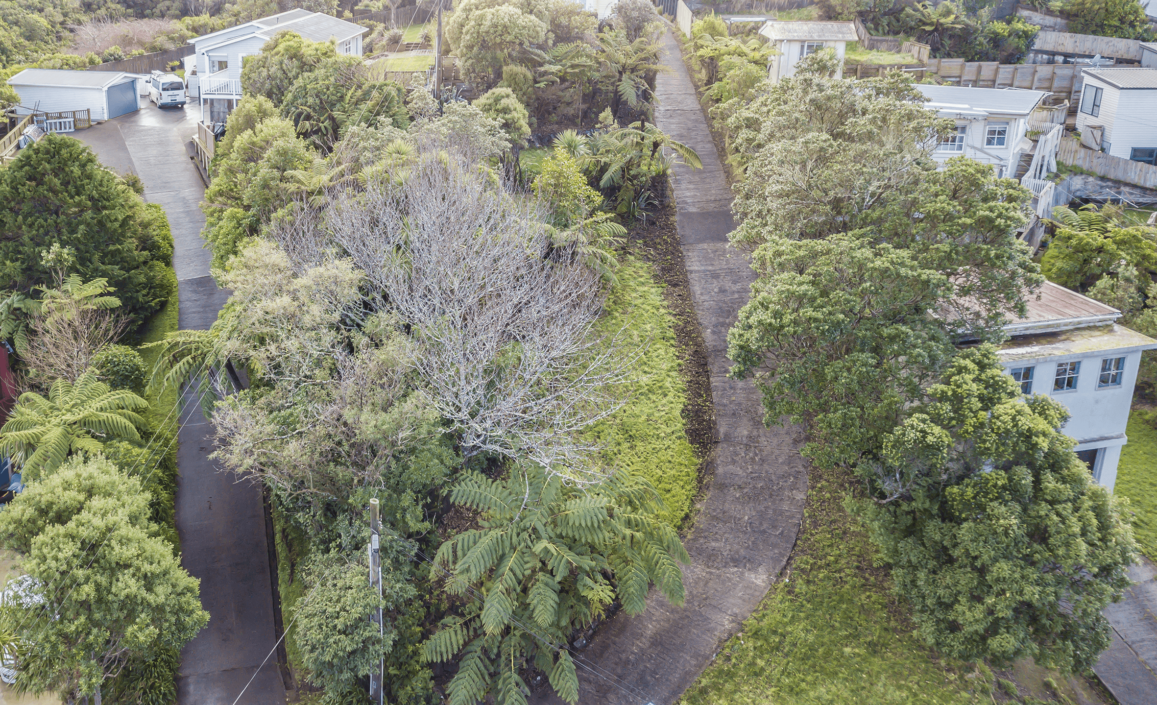 96A Fraser Avenue, Johnsonville, Wellington 6037