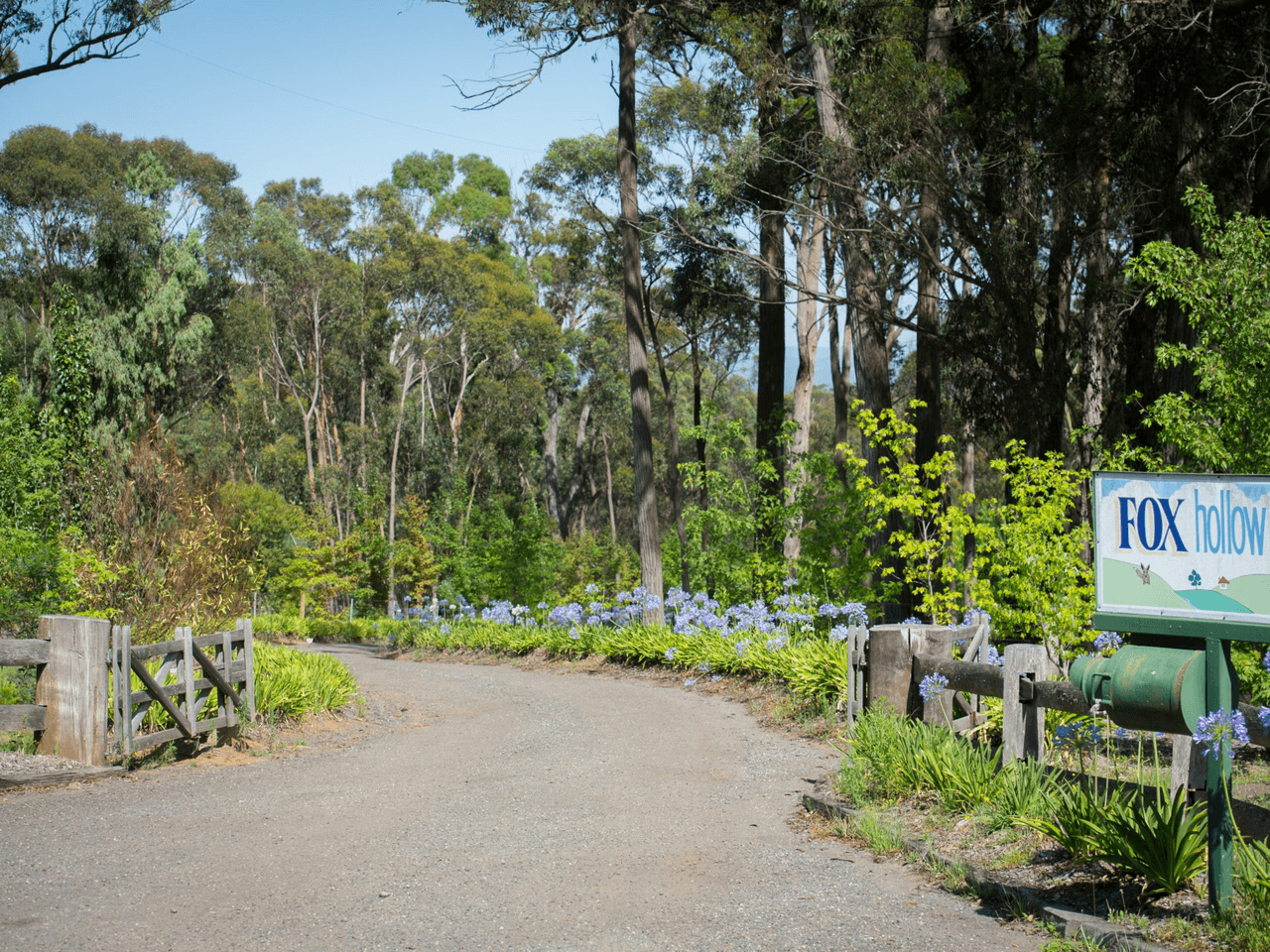 181 Tugalong Road, CANYONLEIGH, NSW 2577