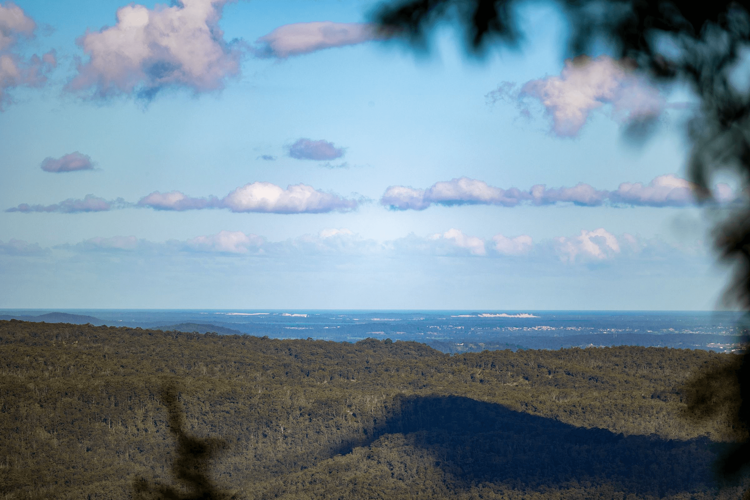 706 MOONABUNG ROAD, VACY, NSW 2421