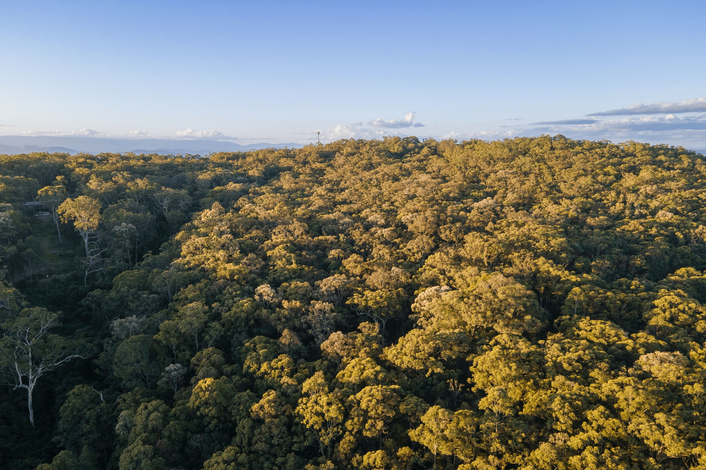706 MOONABUNG ROAD, VACY, NSW 2421