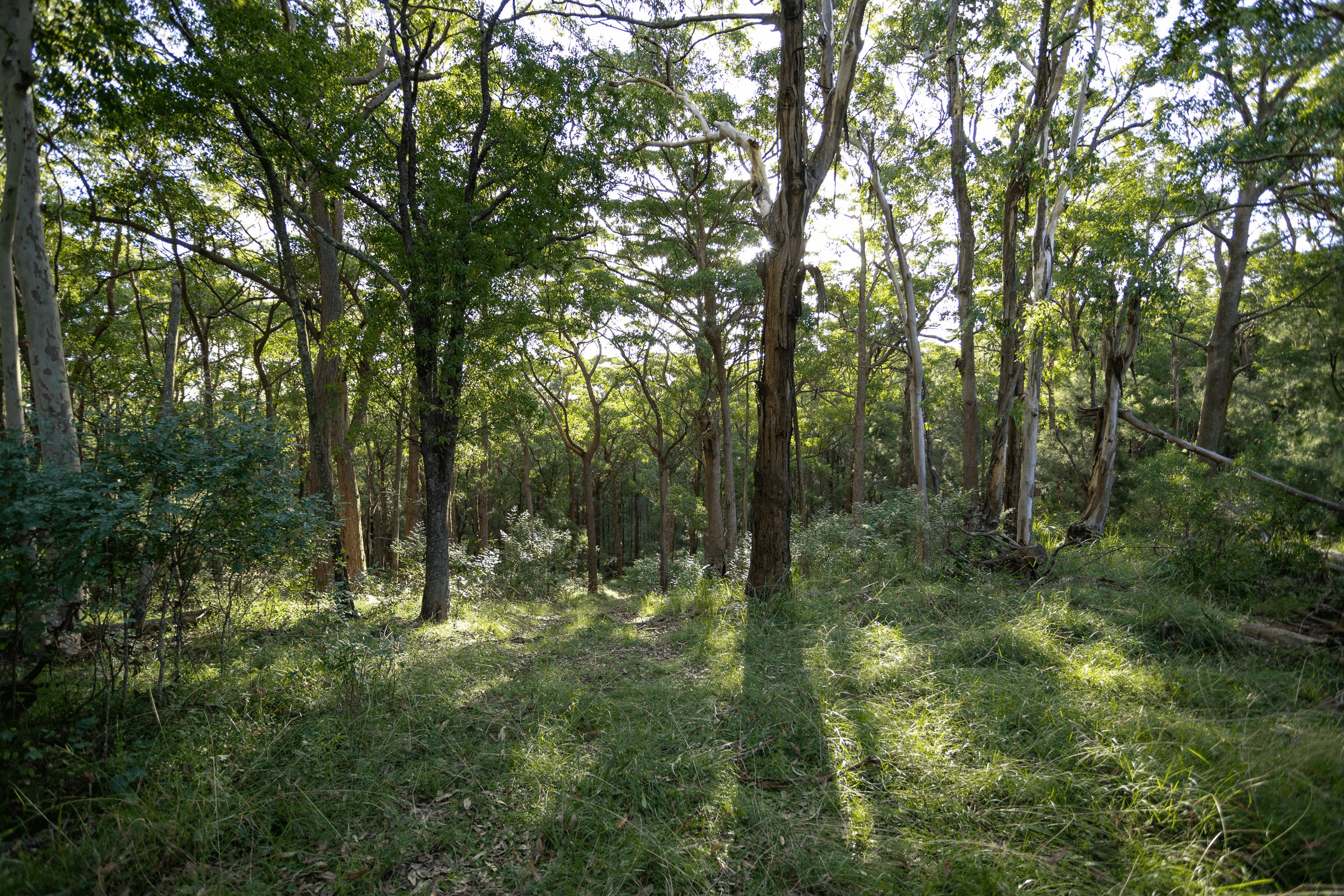 706 MOONABUNG ROAD, VACY, NSW 2421