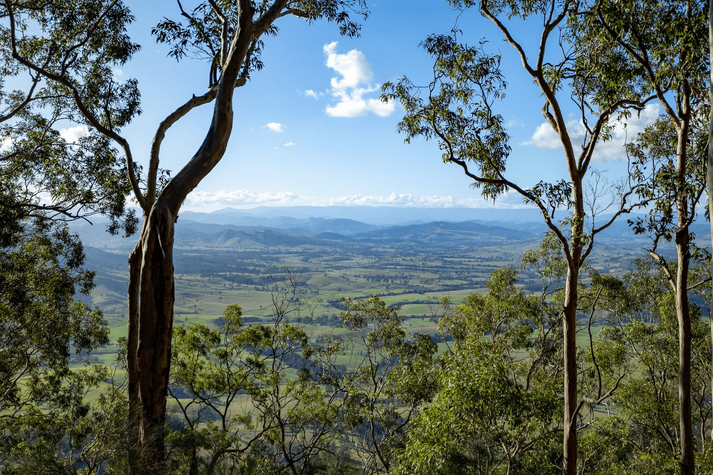 706 MOONABUNG ROAD, VACY, NSW 2421