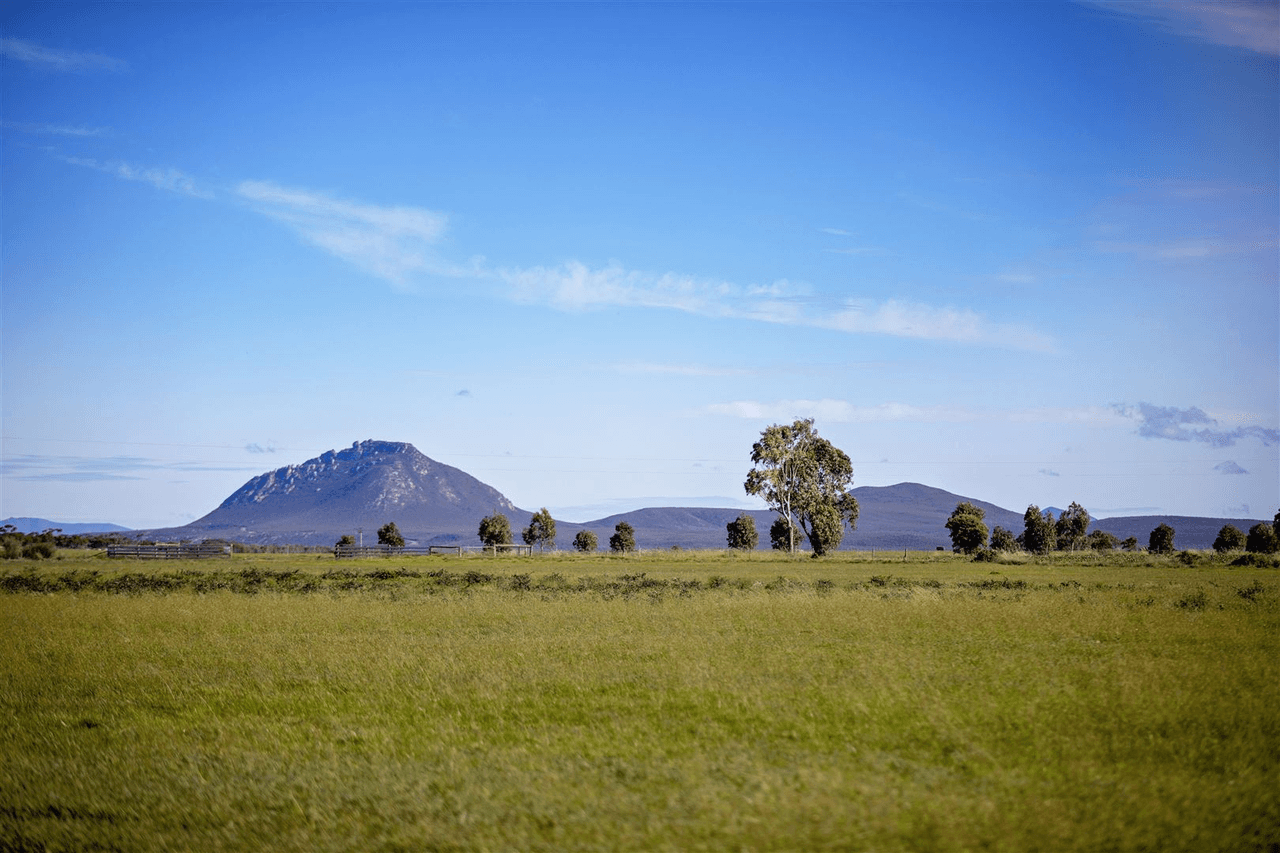 194 Steeredale Road, Hopetoun, WA 6348