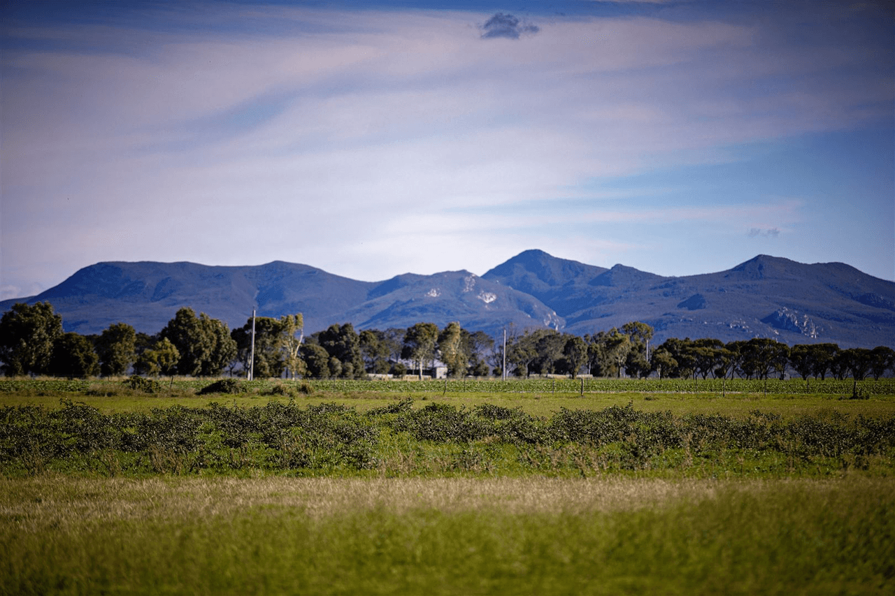 194 Steeredale Road, Hopetoun, WA 6348