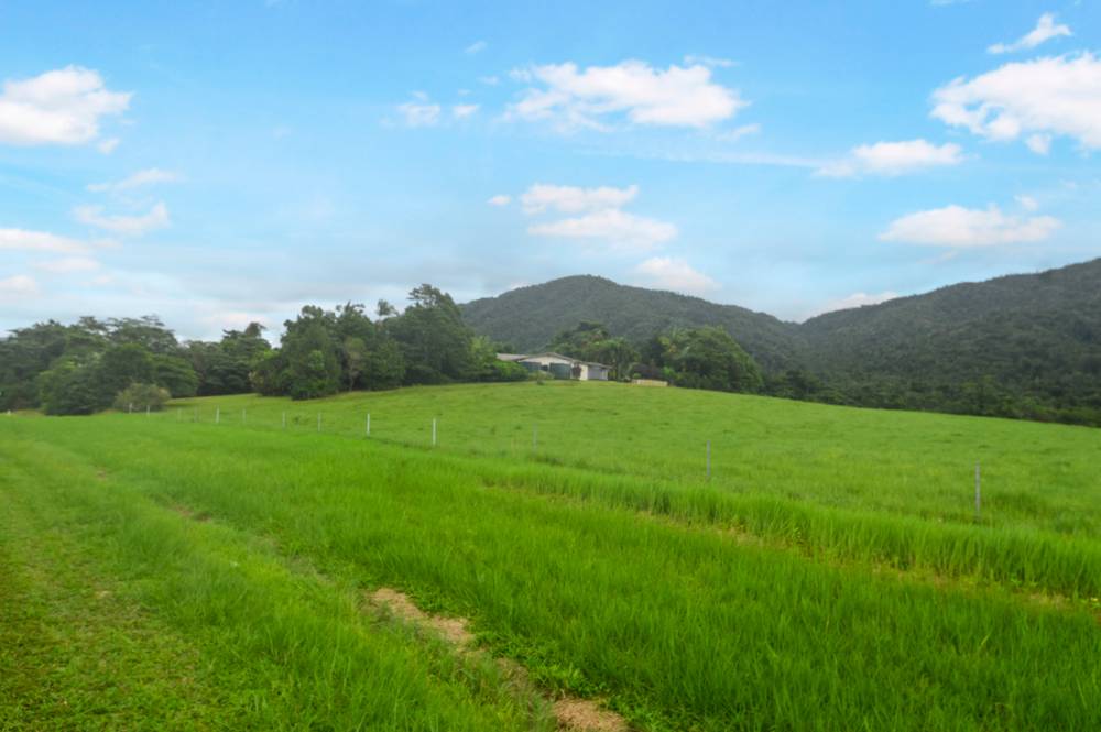 717 Old Tully Road, TULLY, QLD 4854