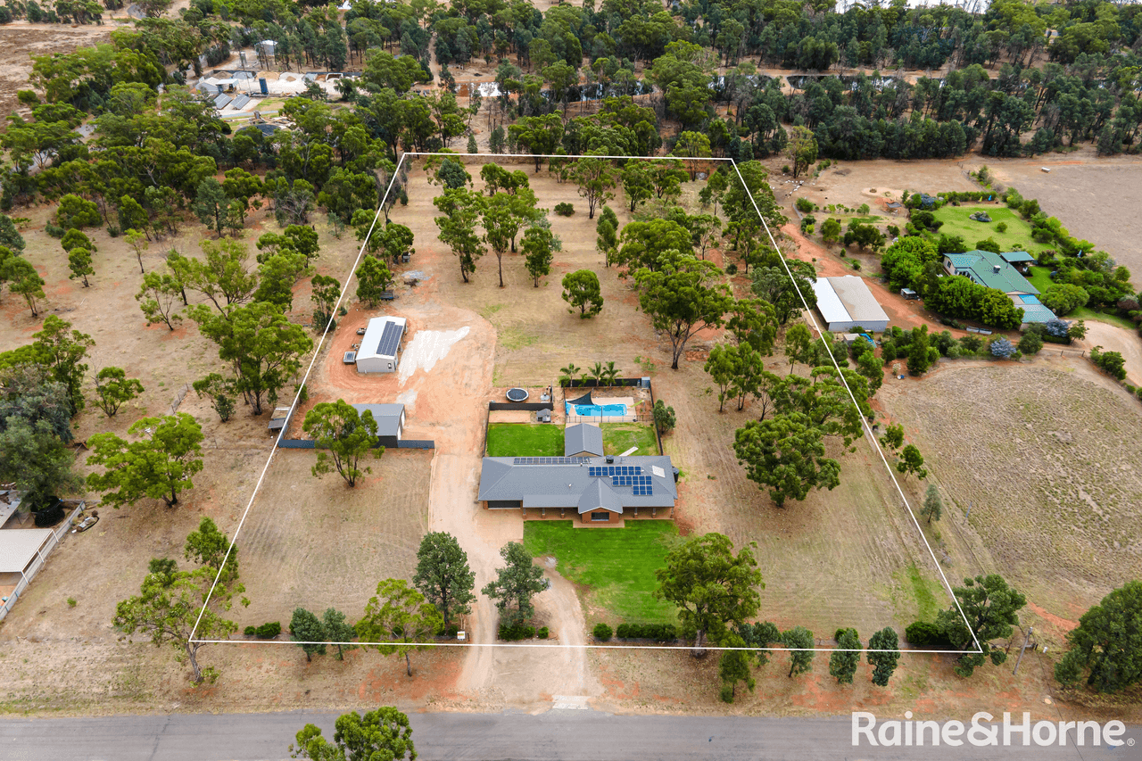 104 Iverach Street, COOLAMON, NSW 2701