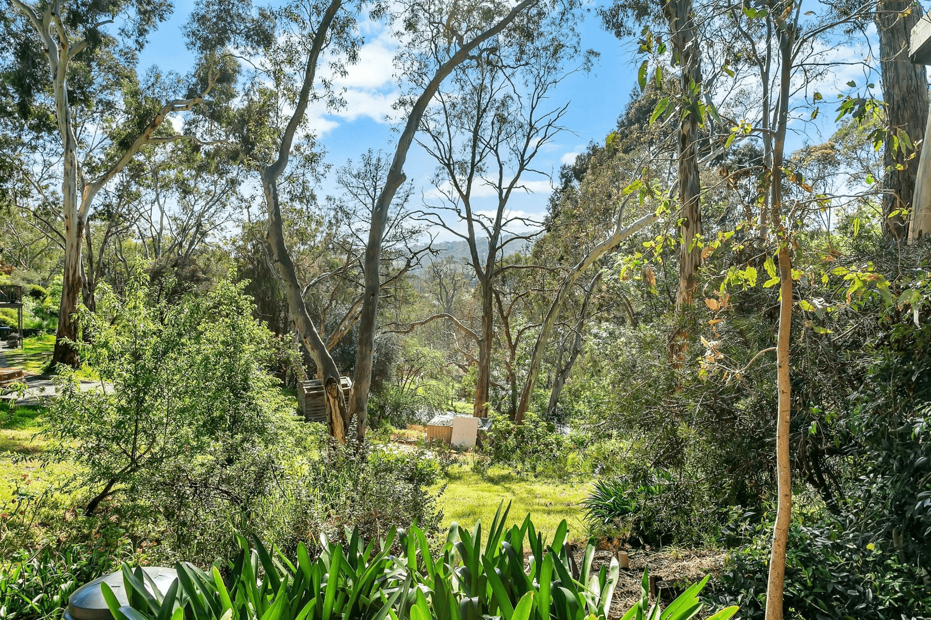 7 Boronia Avenue, Coromandel Valley, SA 5051