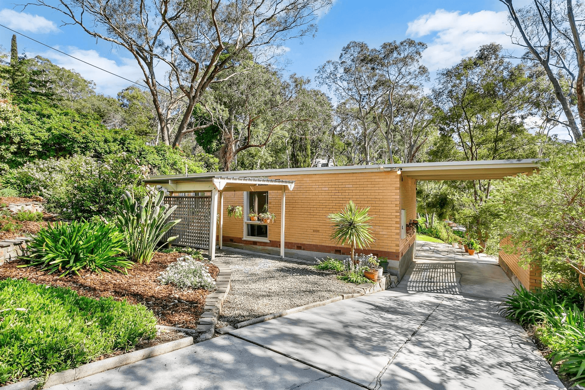 7 Boronia Avenue, Coromandel Valley, SA 5051