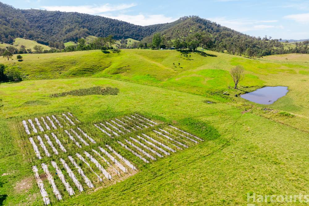 7401 Oxley Highway, Mount Seaview, NSW 2446