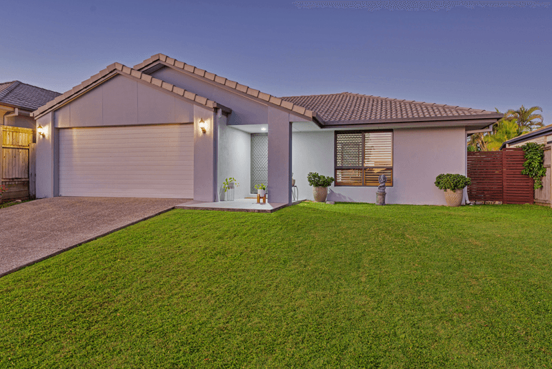 173 Macquarie Way, DREWVALE, QLD 4116