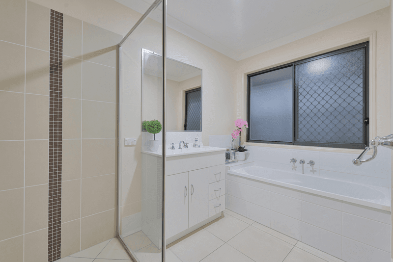 173 Macquarie Way, DREWVALE, QLD 4116