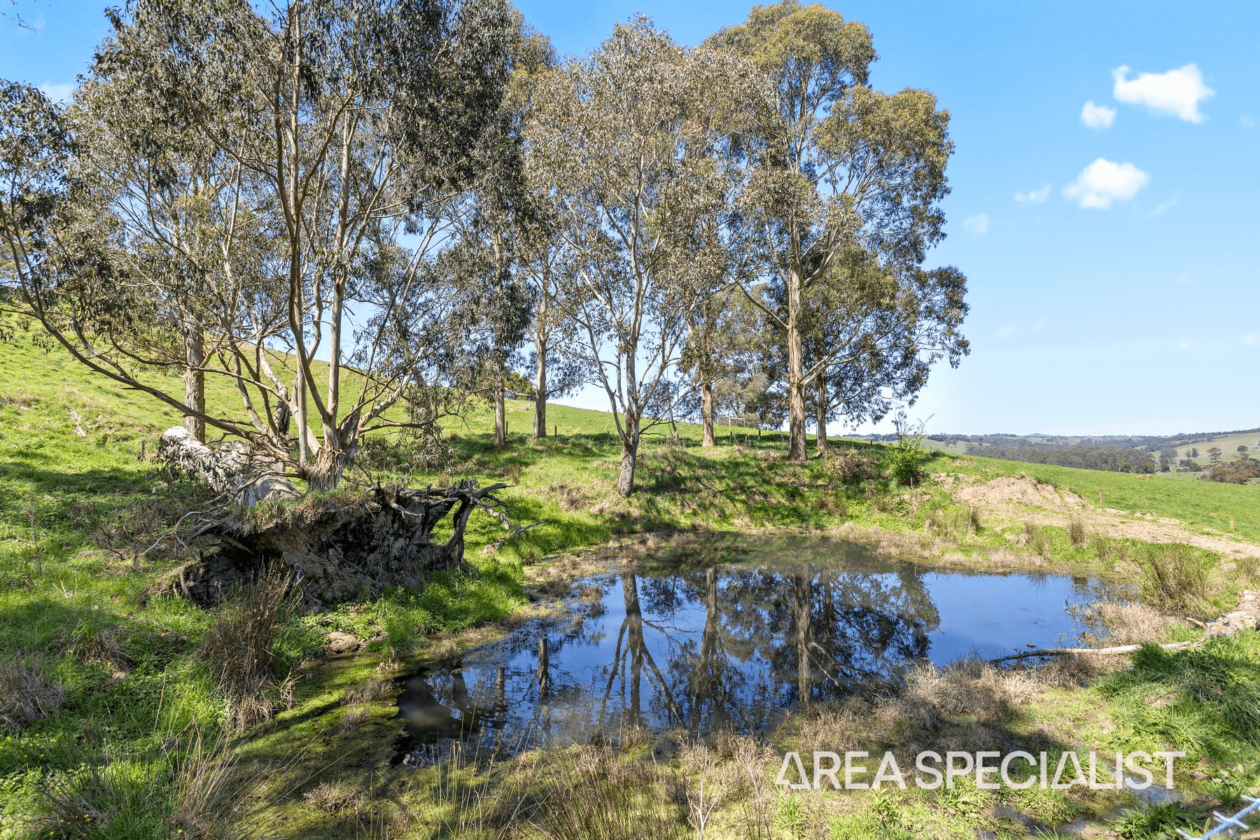 95 Nyora Road, Poowong, VIC 3988