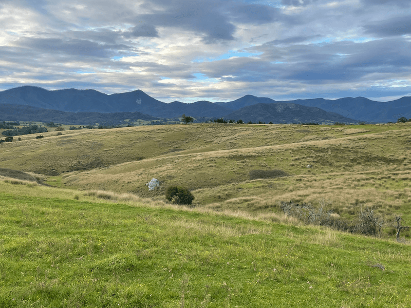 3535 Snowy Mtns Hwy, BEMBOKA, NSW 2550