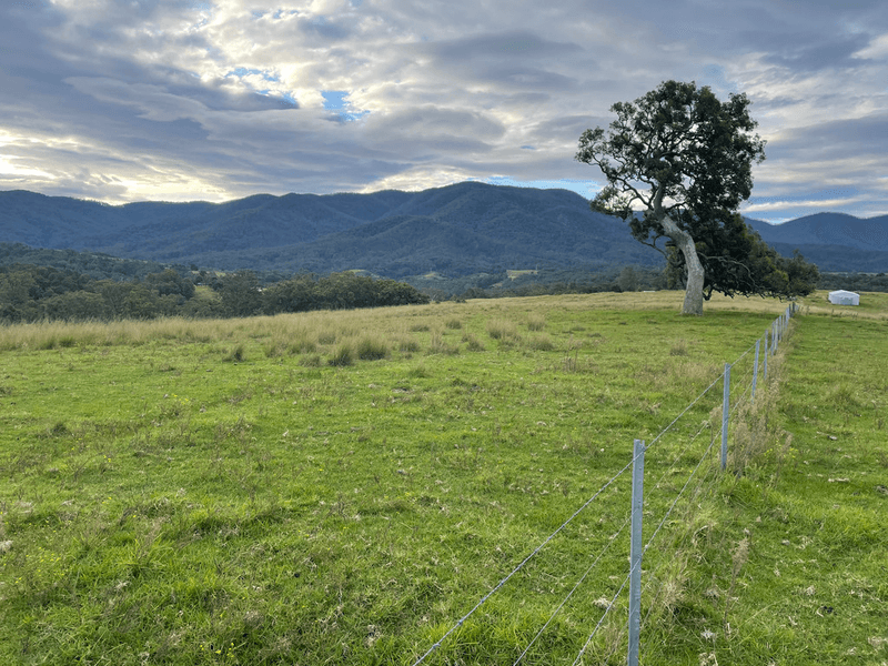 3535 Snowy Mtns Hwy, BEMBOKA, NSW 2550