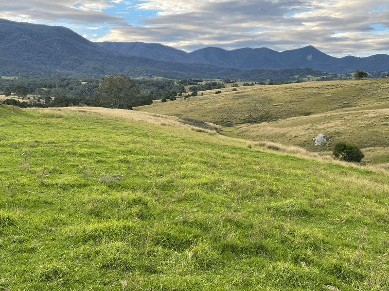 3535 Snowy Mtns Hwy, BEMBOKA, NSW 2550