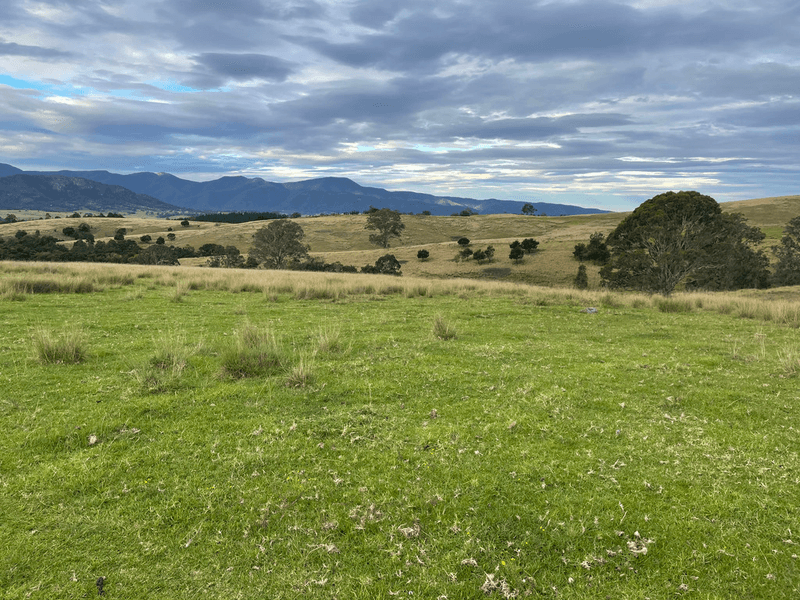 3535 Snowy Mtns Hwy, BEMBOKA, NSW 2550