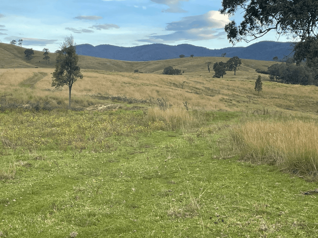 3535 Snowy Mtns Hwy, BEMBOKA, NSW 2550