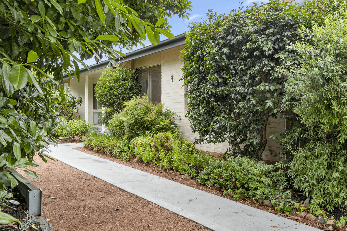 49 Theodore Street, CURTIN, ACT 2605