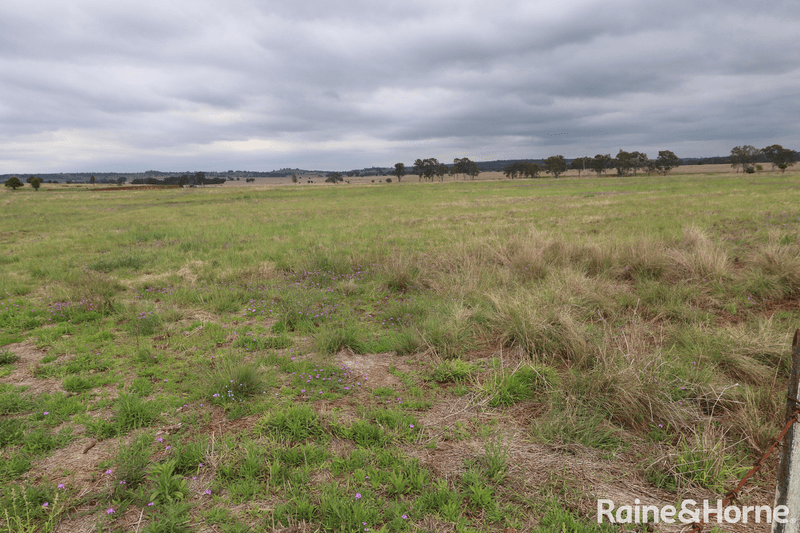 Lot 5 Lysdale Road, WONDAI, QLD 4606