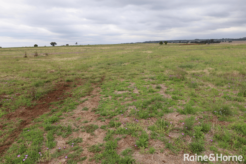 Lot 5 Lysdale Road, WONDAI, QLD 4606