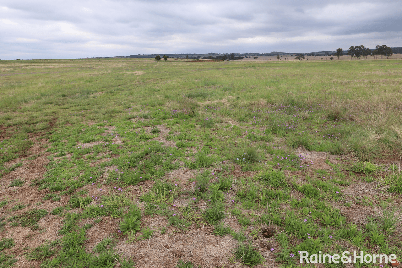 Lot 5 Lysdale Road, WONDAI, QLD 4606