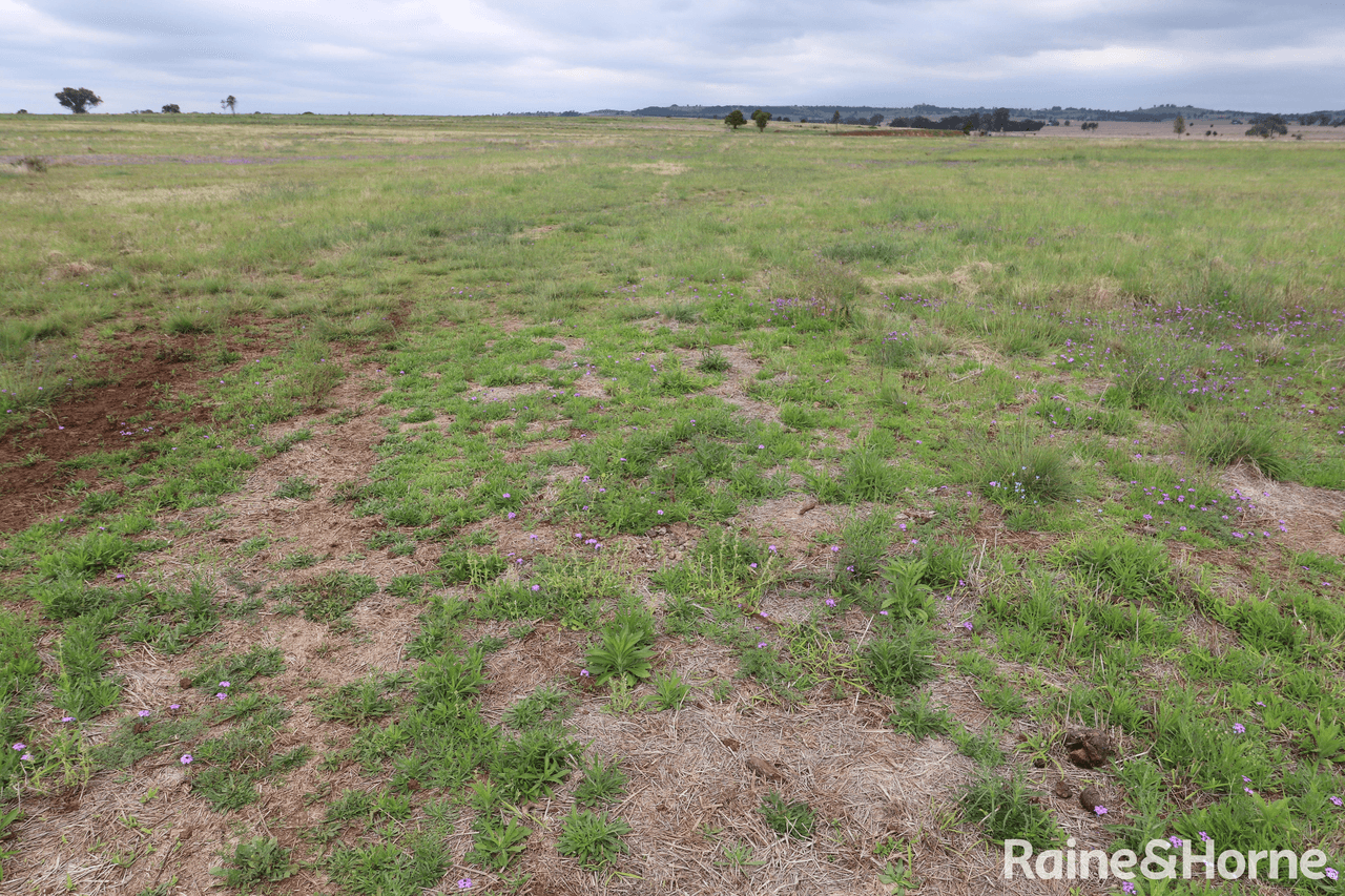 Lot 5 Lysdale Road, WONDAI, QLD 4606