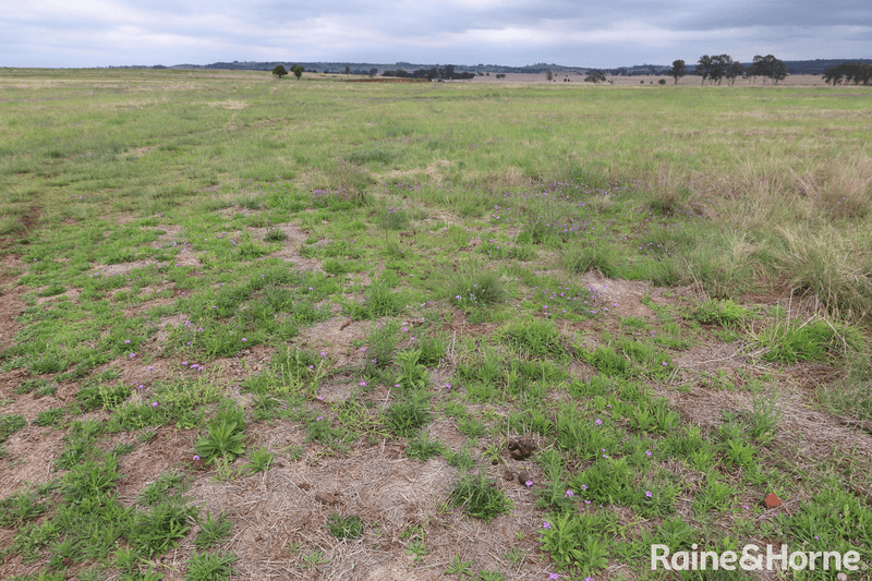 Lot 5 Lysdale Road, WONDAI, QLD 4606