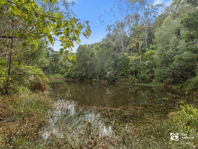 947 Reserve Creek Road, Reserve Creek, NSW 2484