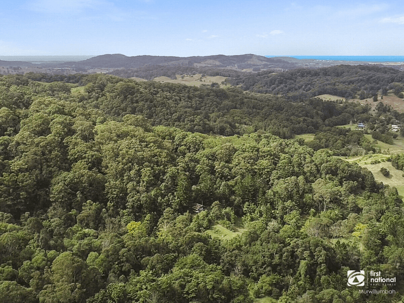 947 Reserve Creek Road, Reserve Creek, NSW 2484