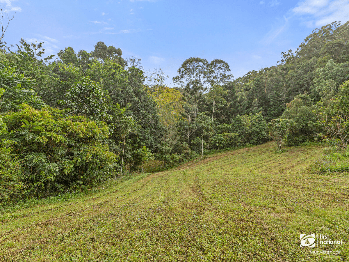 947 Reserve Creek Road, Reserve Creek, NSW 2484