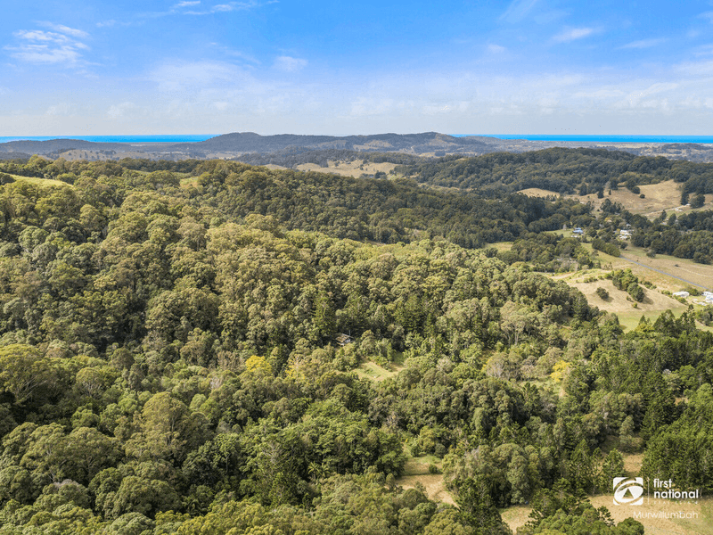 947 Reserve Creek Road, Reserve Creek, NSW 2484